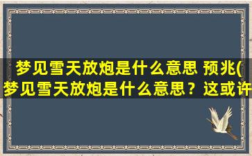 梦见雪天放炮是什么意思 预兆(梦见雪天放炮是什么意思？这或许是一个有意义的预兆)